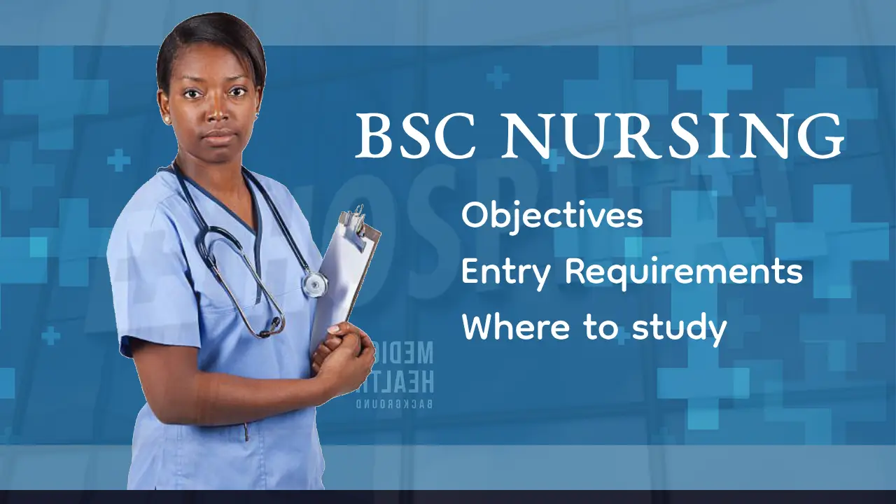 Bachelor of Science Nursing Degree Program in Kenya: An Overview, Objectives, Entry Requirements, and Institutions Offering the Program