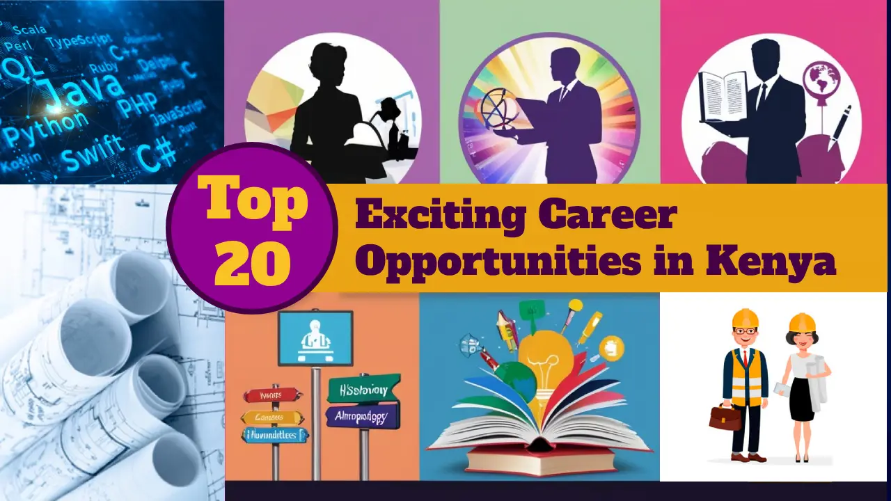 Top 20 Career options for Kenyans in 2025