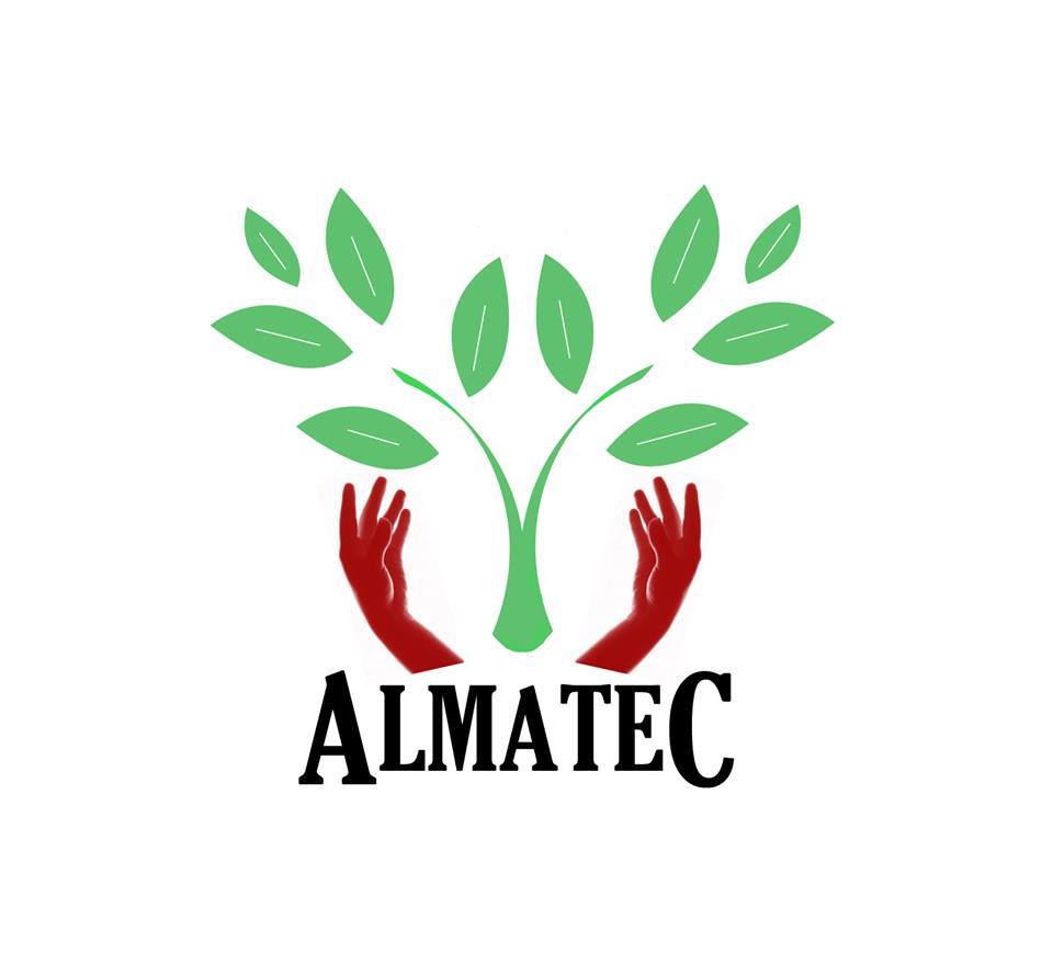 Almatec Institute of Management Studies